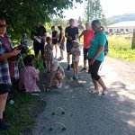phoca_thumb_m_pohdkov les 39 Fotogalerie